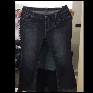 Brand New Maurice Plus Size Denim Jeans